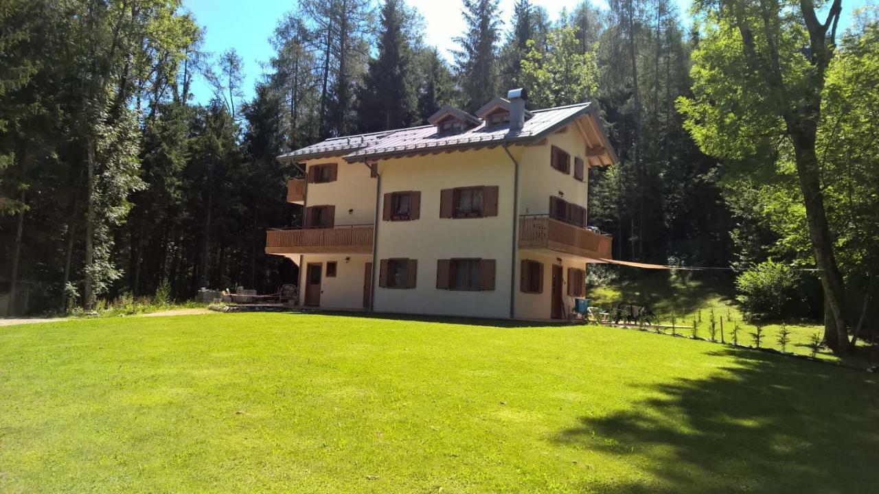 Al Ranch Wellness Cadore Dolomiti Apartments Vicino Cortina Olimpiadi 2026 E Misurina Tre Cime Lavaredo 皮耶韦迪卡多雷 外观 照片